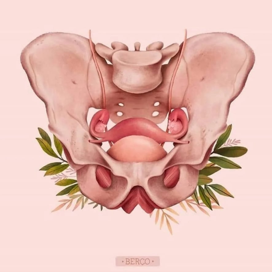 Pelvic Floor Strong